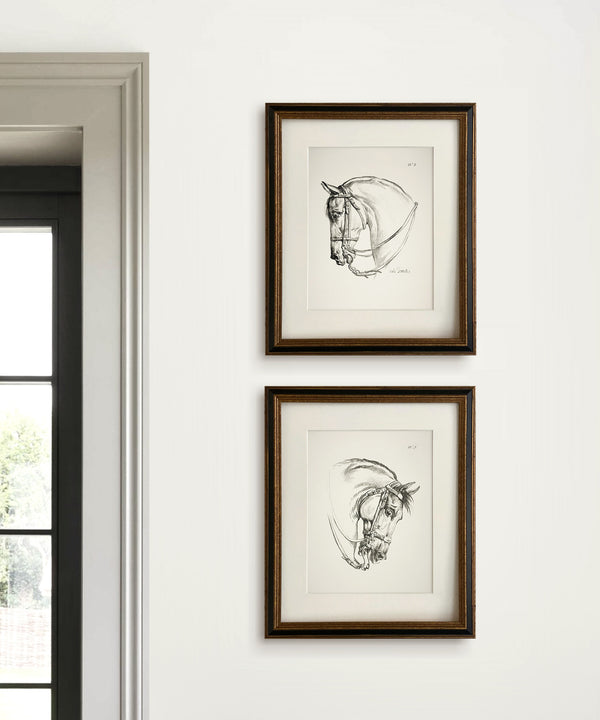 Set of two vintage horse head drawings