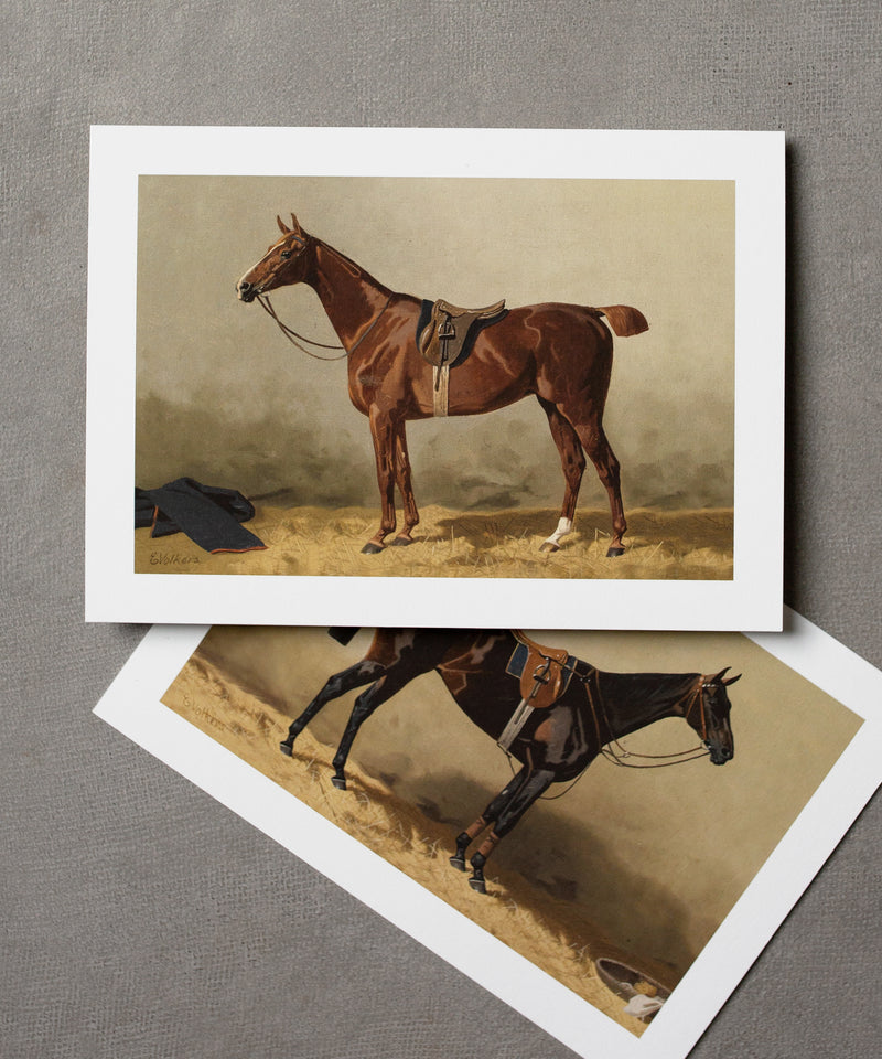 Frameable Equestrian Notecards