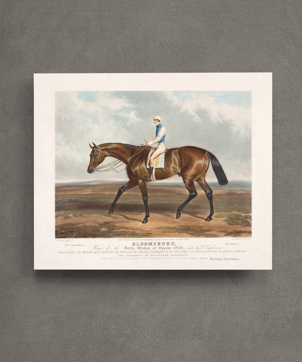 Bloomsbury Racehorse Print