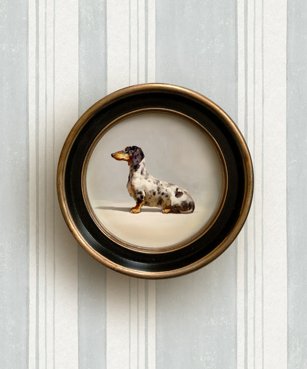 Framed artwork of a dapple dachshund with a vintage round black and gold frame on a striped wall.