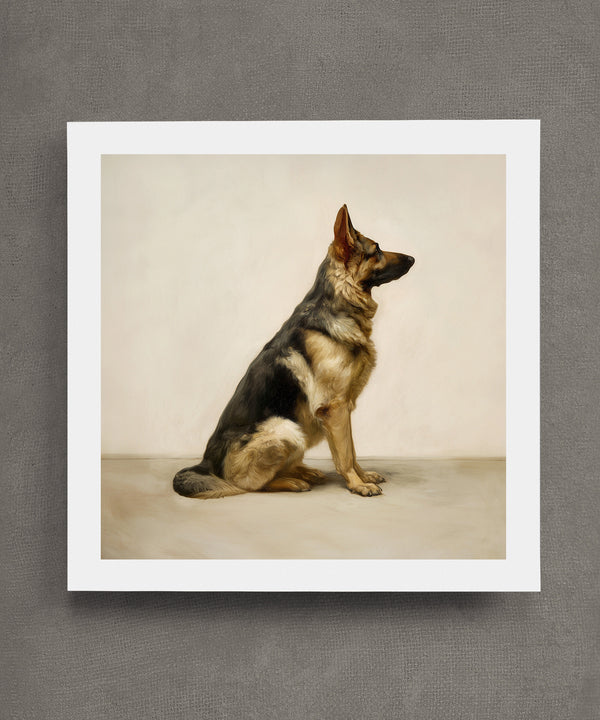 A Seated German Shepherd