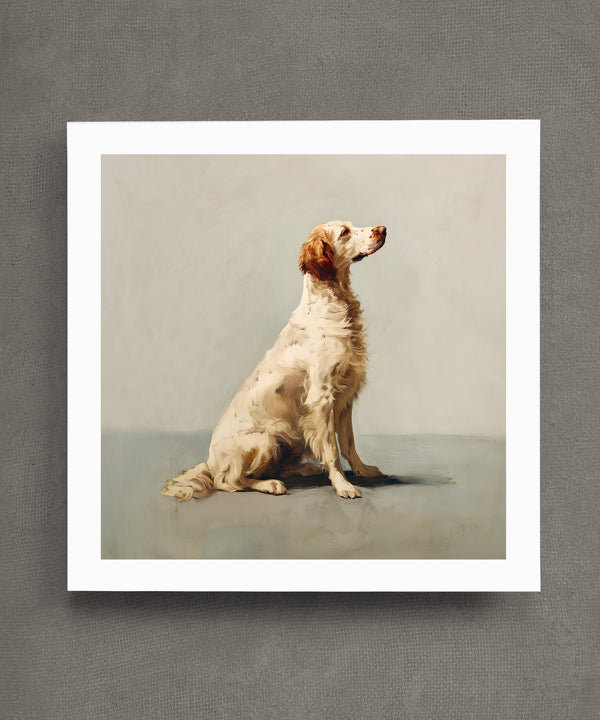 A Seated English Setter