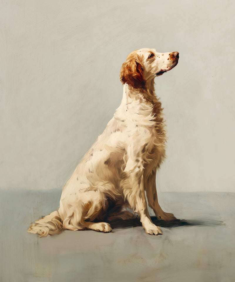 A Seated English Setter