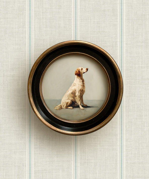 A Seated English Setter
