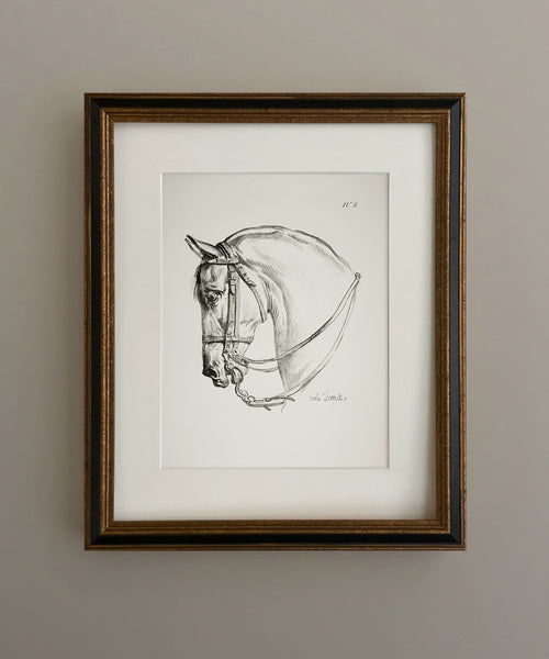 Set of Two Vintage Horse Drawings – Hart Equestrian