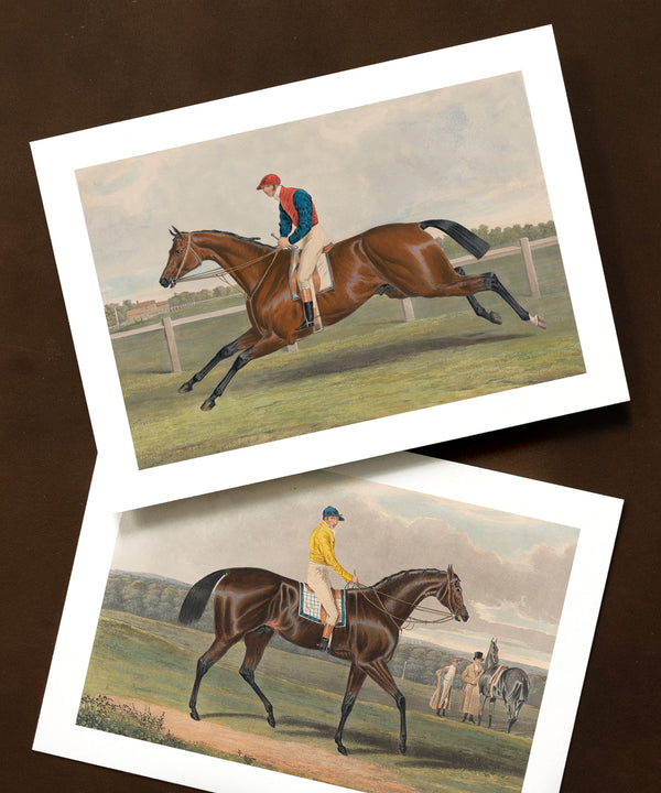 Set of 6 vintage race horse painting notecards