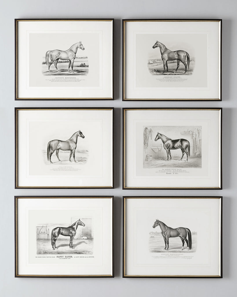 Set of Six Vintage Horse Portraits in Black and White – Hart Equestrian, image size:819x1024