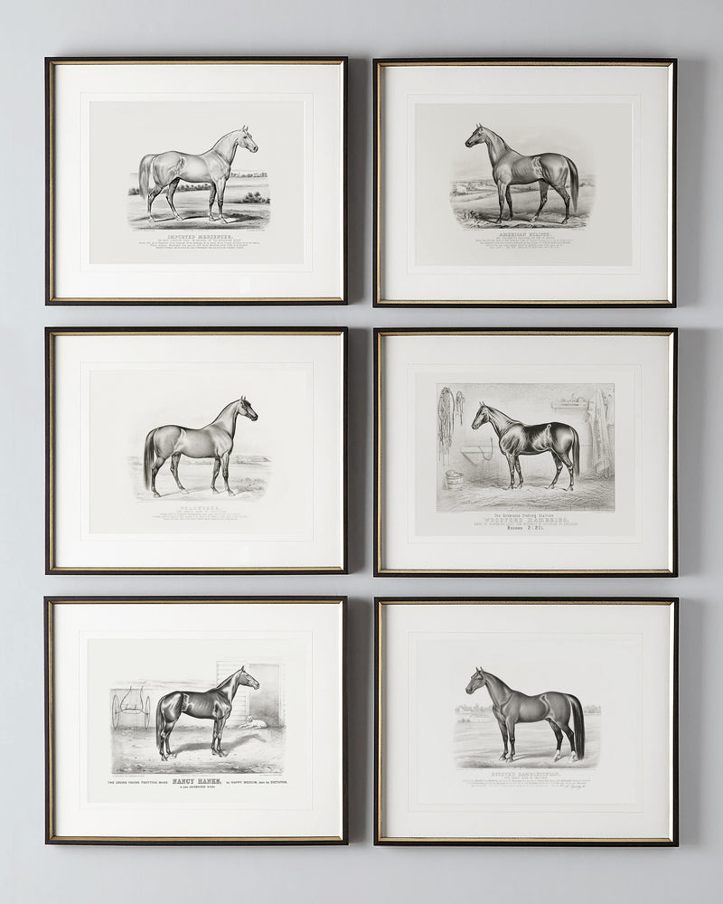 Set of six vintage black and white horse drawing lithographs