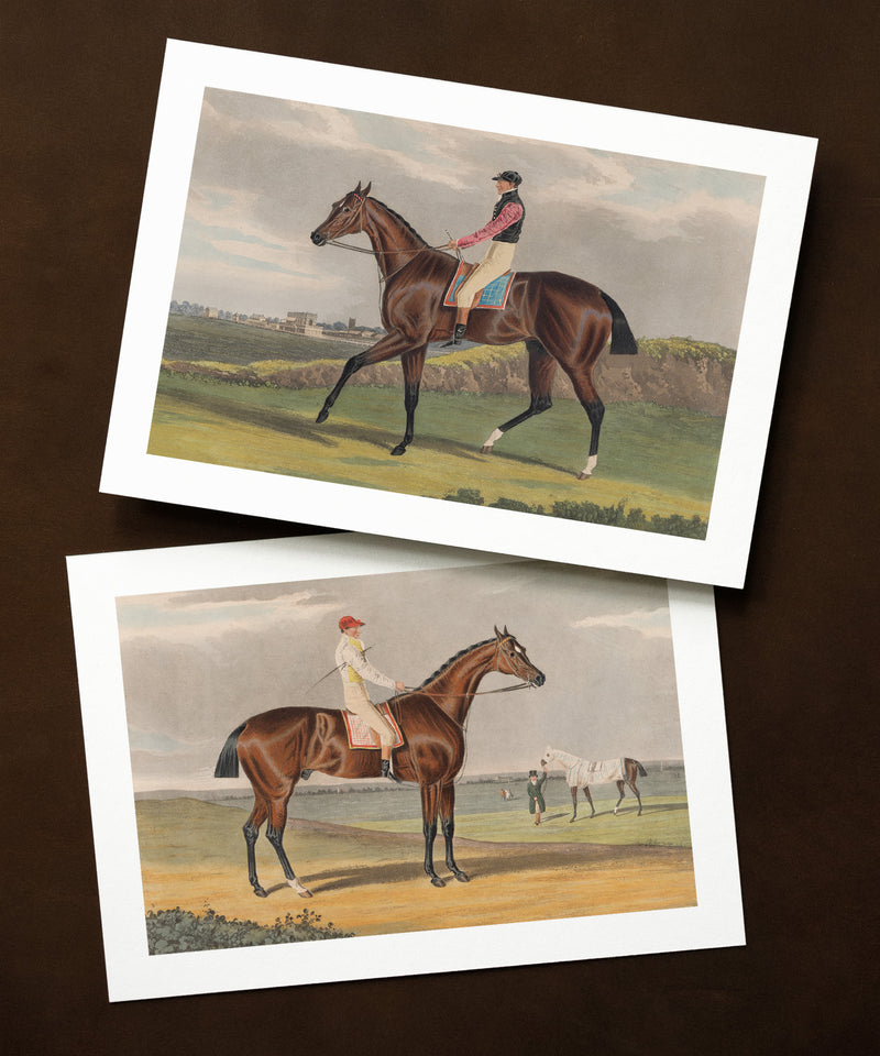 Antique race horse painting greeting card set