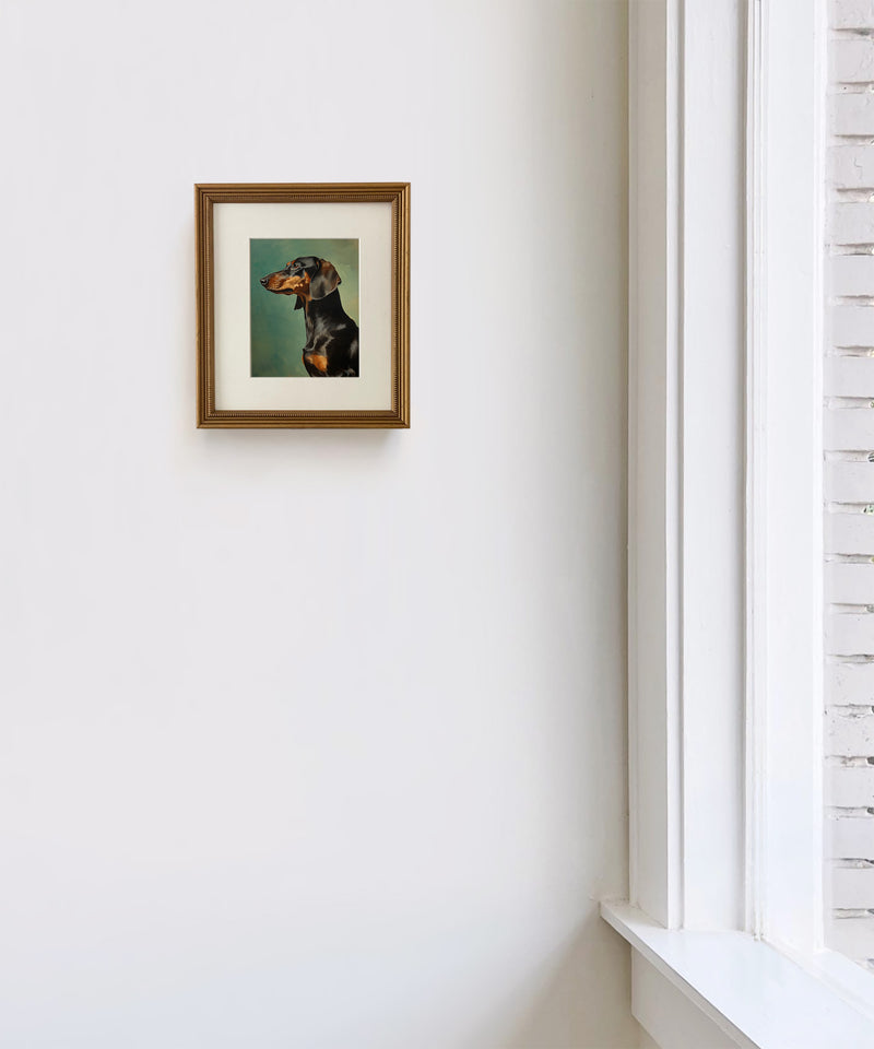 Portrait of a Black & Tan Dachshund