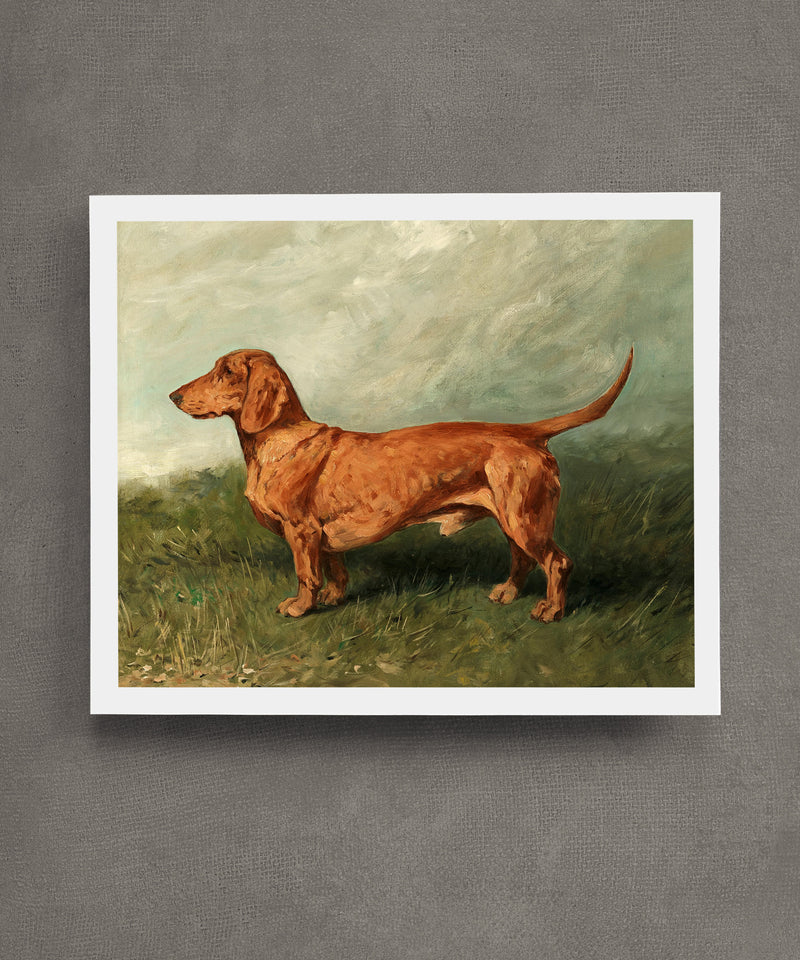 Vintage dachshund dog painting