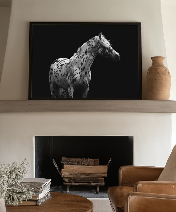 Black and white appaloosa horse art print for modern or western design