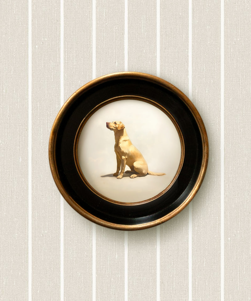 A Seated Yellow Lab