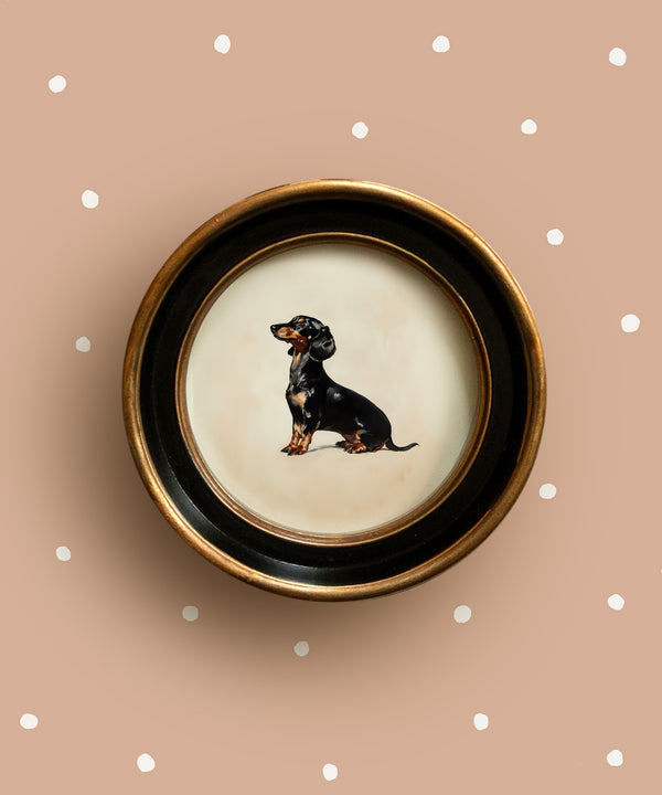 A vintage style portrait of a black and tan dachshund dog, seated against a neutral background.