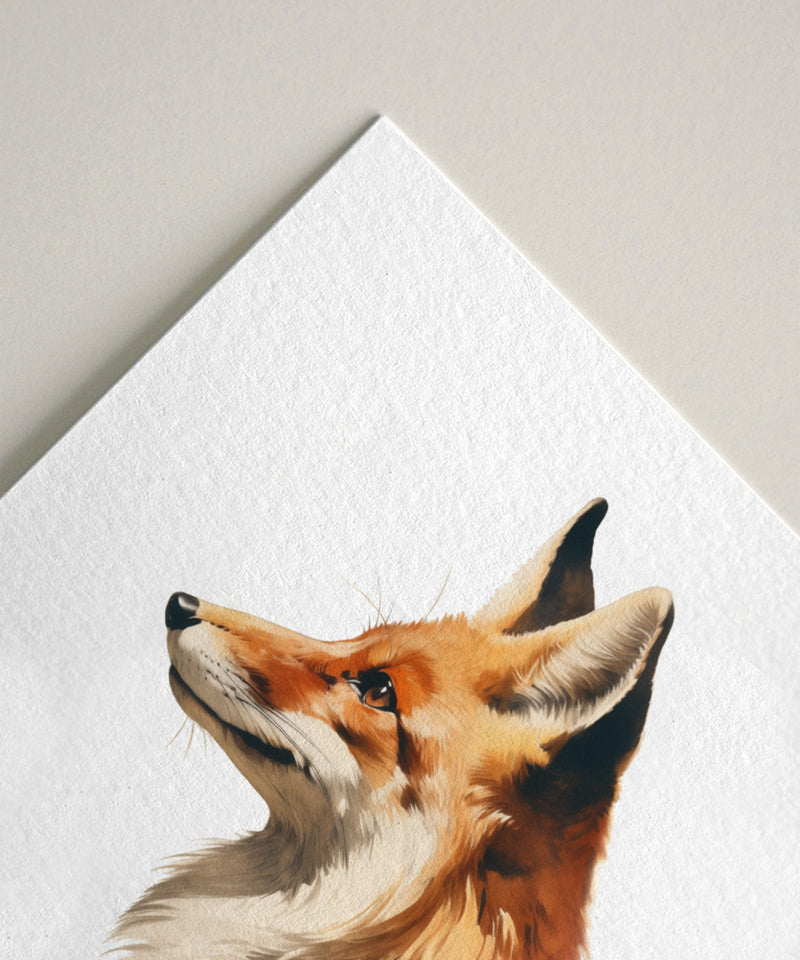 A Red Fox in Profile