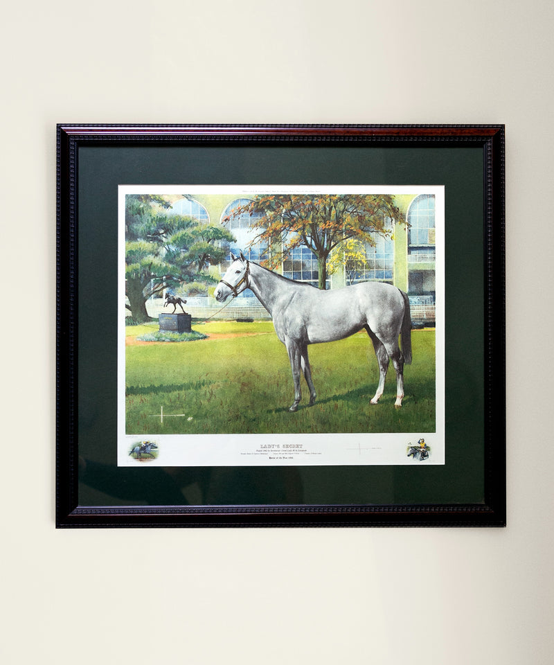 Lady's Secret Framed Print