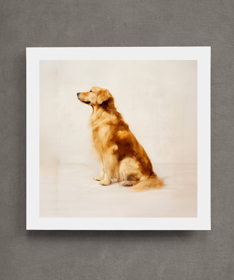 A Seated Golden Retriever