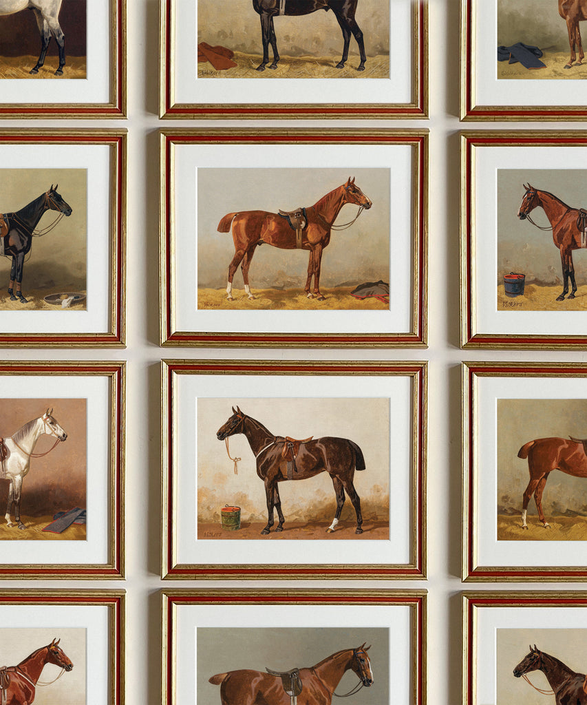 Set of 12 Vintage Horse Portraits | Equestrian Gallery Wall – Hart  Equestrian, image size:853x1024