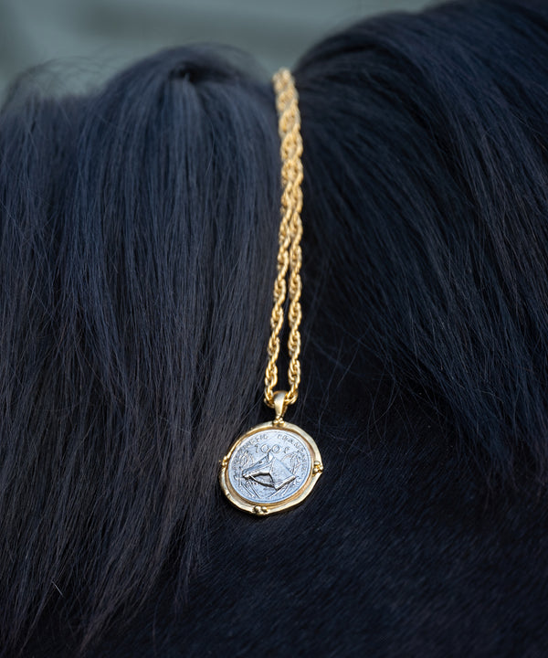 Mixed Metal Horse Coin Necklace
