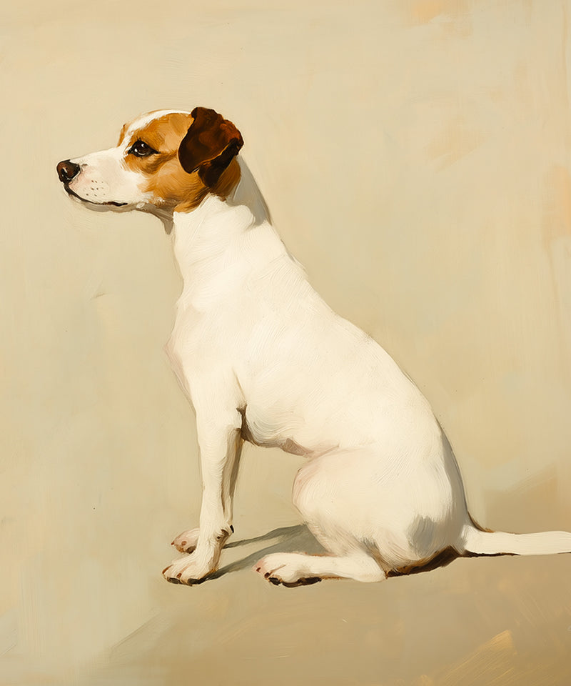 A Seated Jack Russell