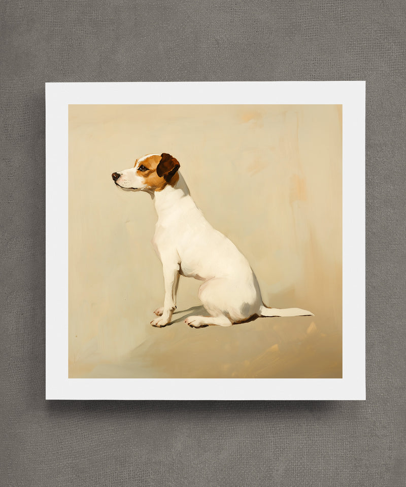 A Seated Jack Russell