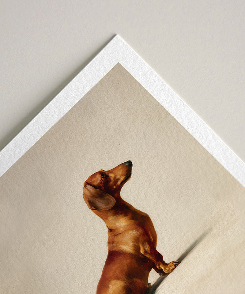 A Seated Red Dachshund