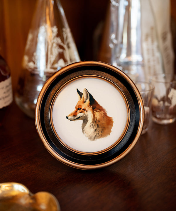 A Red Fox in Profile