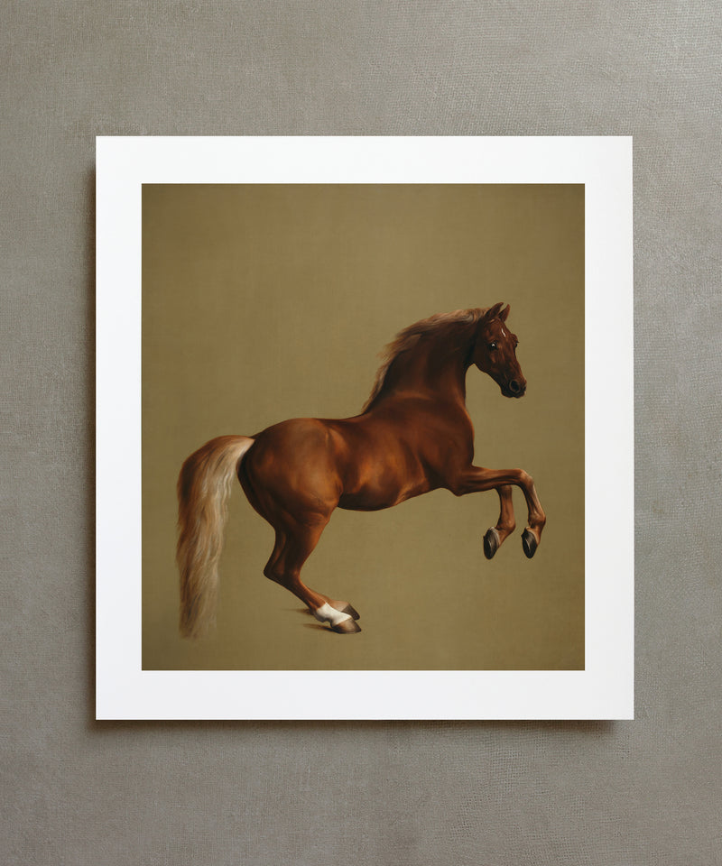 George Stubbs Whistlejacket horse painting print
