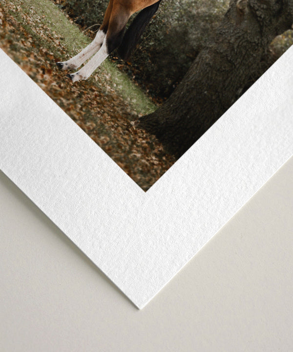 slideimg Our paper is 100% cotton with a subtle texture. It is archival quality and naturally acid-free to protect against loss of color and fading over time.