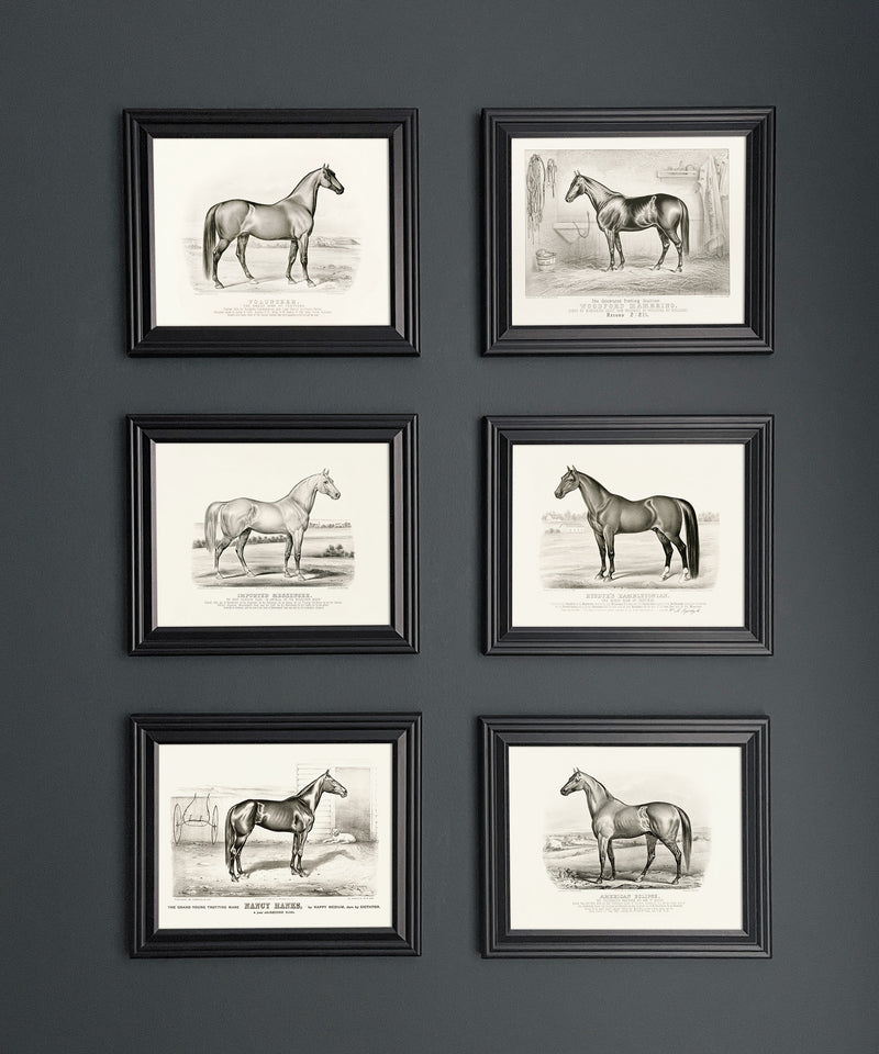 Set of six vintage horse drawings framed set
