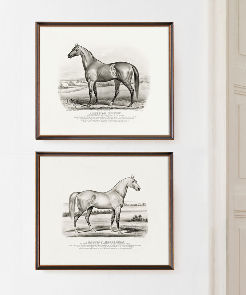 Set of vintage horse prints