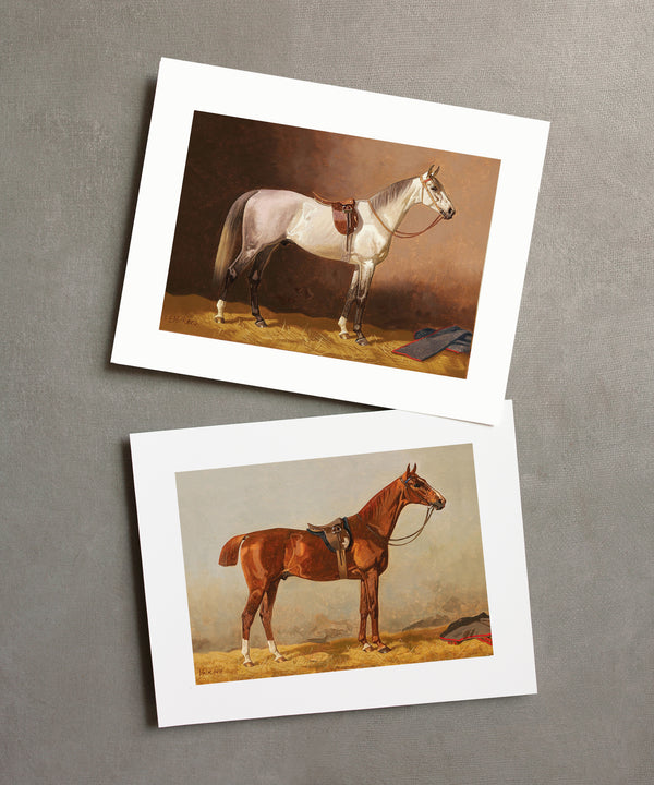 Set of Four Horse Portraits | Collection II