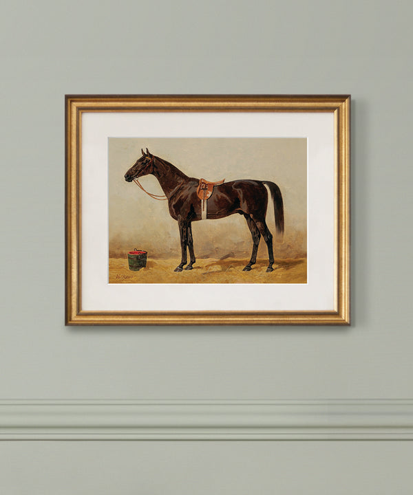 Dark bay vintage horse portrait in gold frame