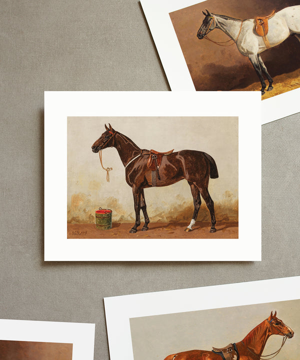 Set of Four Horse Portraits | Collection II