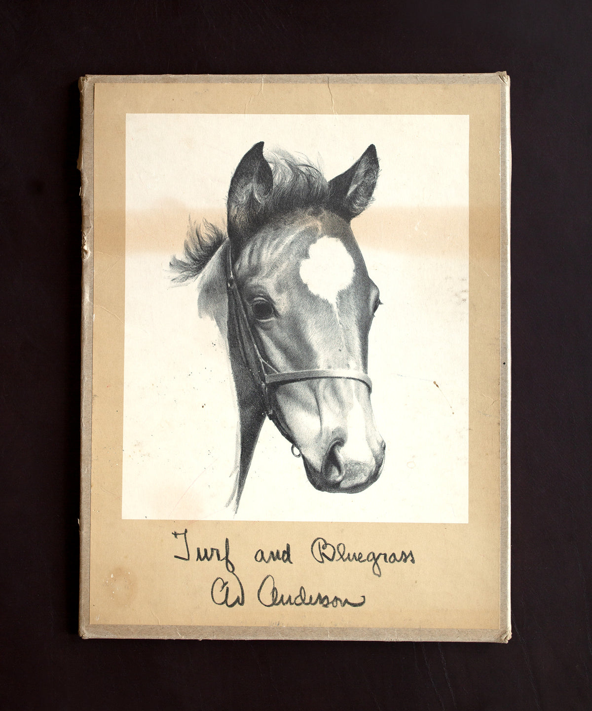 Turf-Bluegrass-Print-Set_1200x