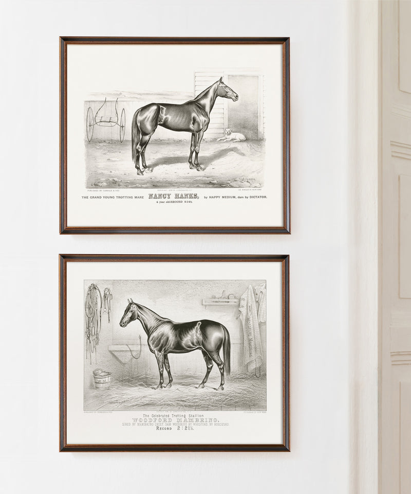 Pair of black and white vintage horse prints