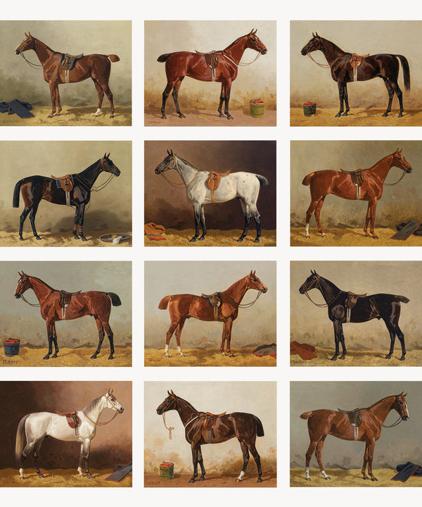 Vintage Horse Portraits | The Complete Collection