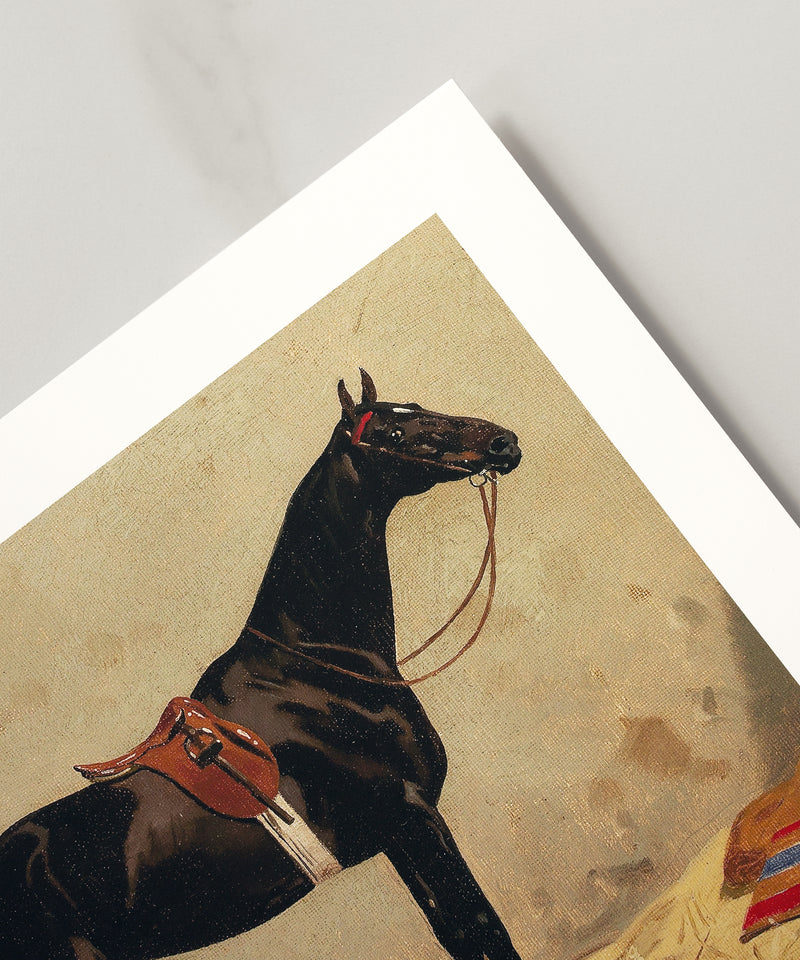 Vintage black horse portrait painting