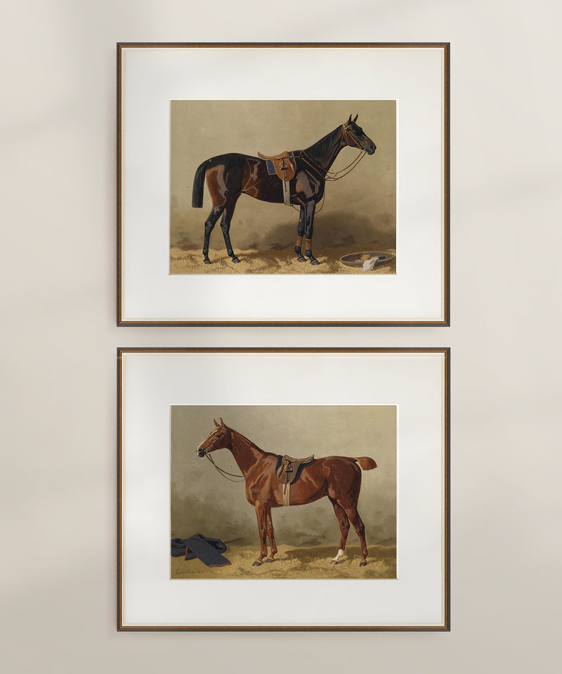 Antique horse painting art set