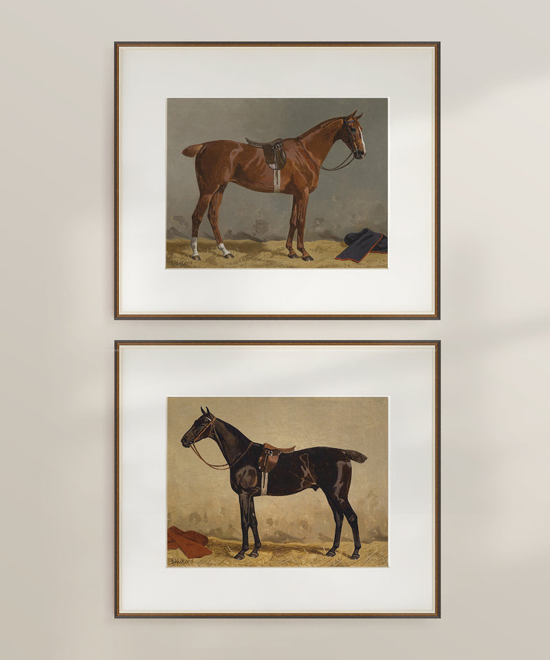 Vintage equestrian horse painting set