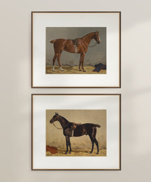 Set of Two Horse Portraits | Collection I